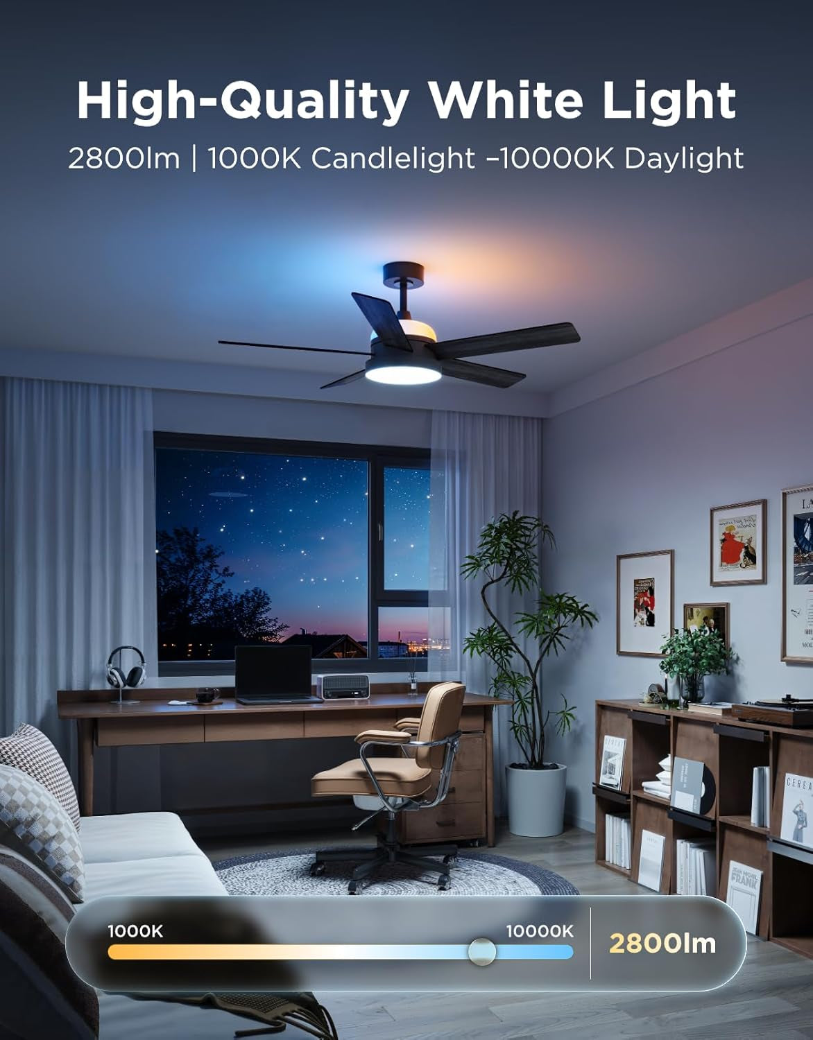 Morden RGB Black Ceiling Fan (52")